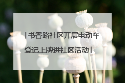 书香路社区开展电动车登记上牌进社区活动